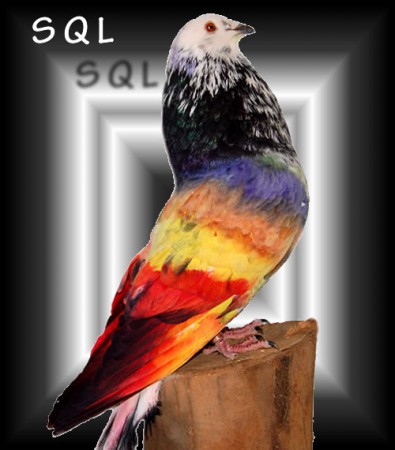 CAMPEÓN PROVINCIAL 2010  "FAMILIA SEPÚLVEDA"